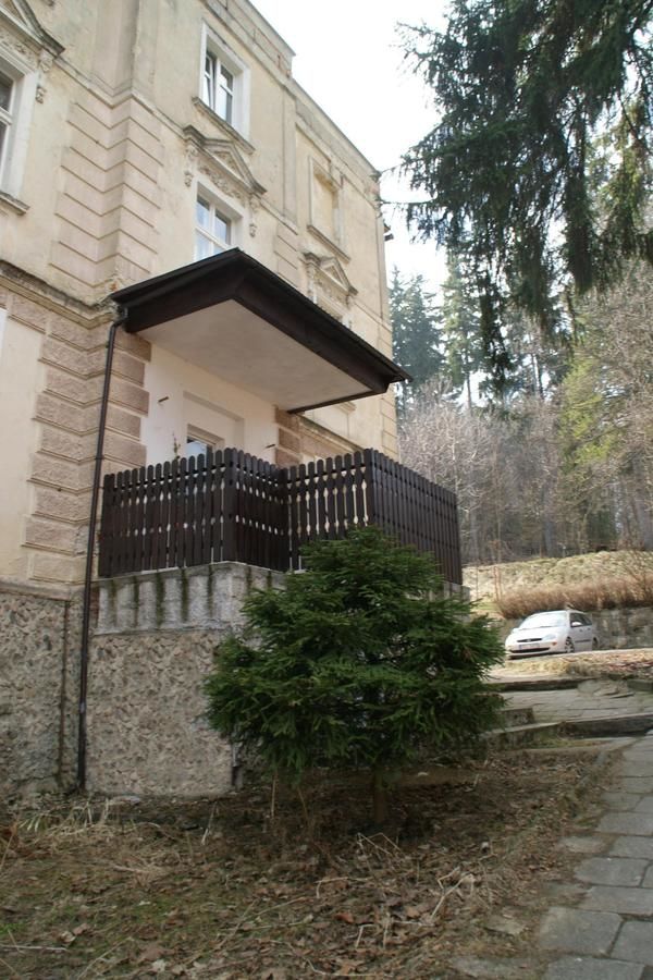 Апартаменты Apartament Orchidea Лёндек-Здруй-28