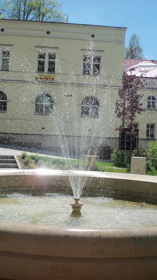 Апартаменты Apartament Orchidea Лёндек-Здруй-37